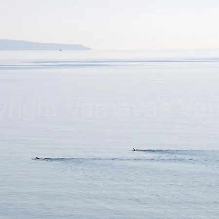 Appartamento Seafront Flat Vacations Voroklini